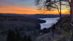 Back home, bonne année !