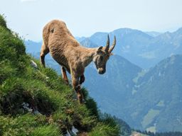 Dent et Roc d’Oche