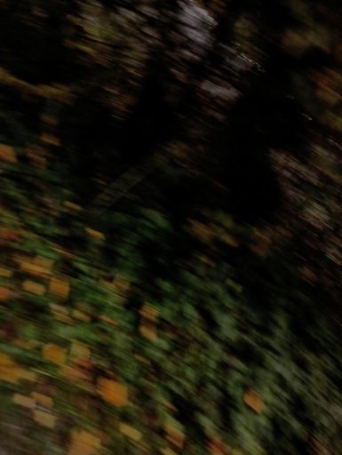 Given that this is what my first _moving_ photo looked like, I stopped trying to snap photos, and just focused on shootin the shit with David.