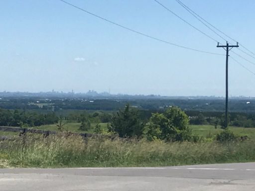 TARANTA. How about that digital zoom? You don't even need a dslr. The quality is amazing.