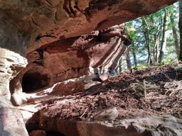 Tête de la gorge aux sangliers et Canceley