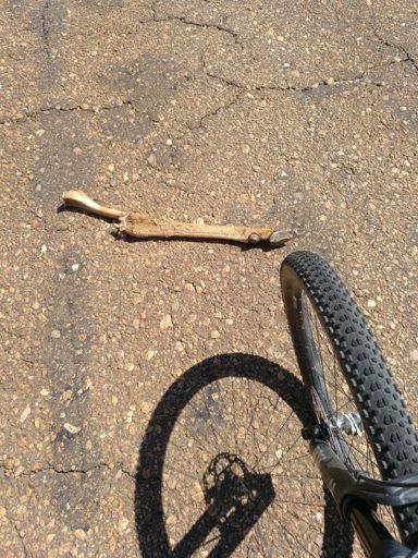 Heute liegt wieder Kurioses auf den Straßen ;)