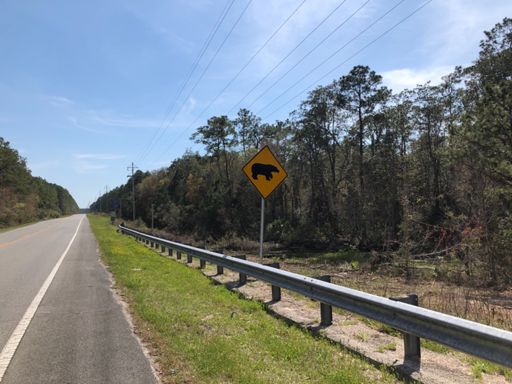 Apparently they don't just have bears but very LARGE bears given how big the bear is on this sign!