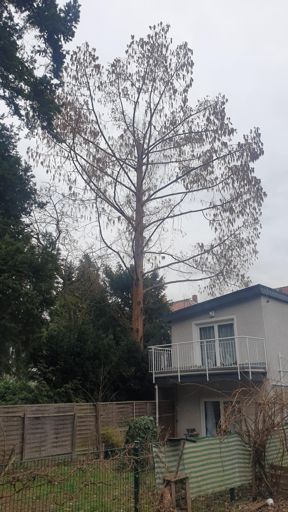 Frankfurt ID23328 UM Im Uhrig 7A