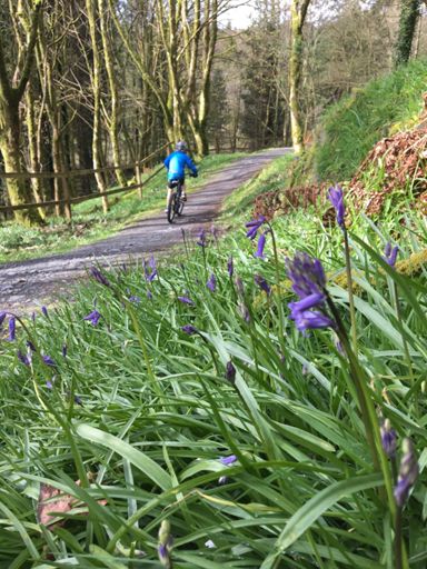 Spring has sprung, the sap has ris'n, who knows where the bird(ies) is. Some say the bird is on the wing. Absurd! The wing is clearly on the bird😎