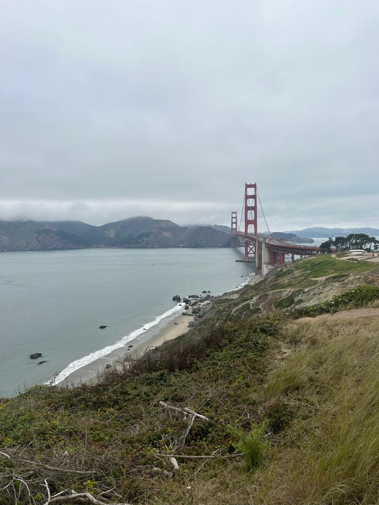 Butterlap (Presidio & Golden Gate Park) photo 144