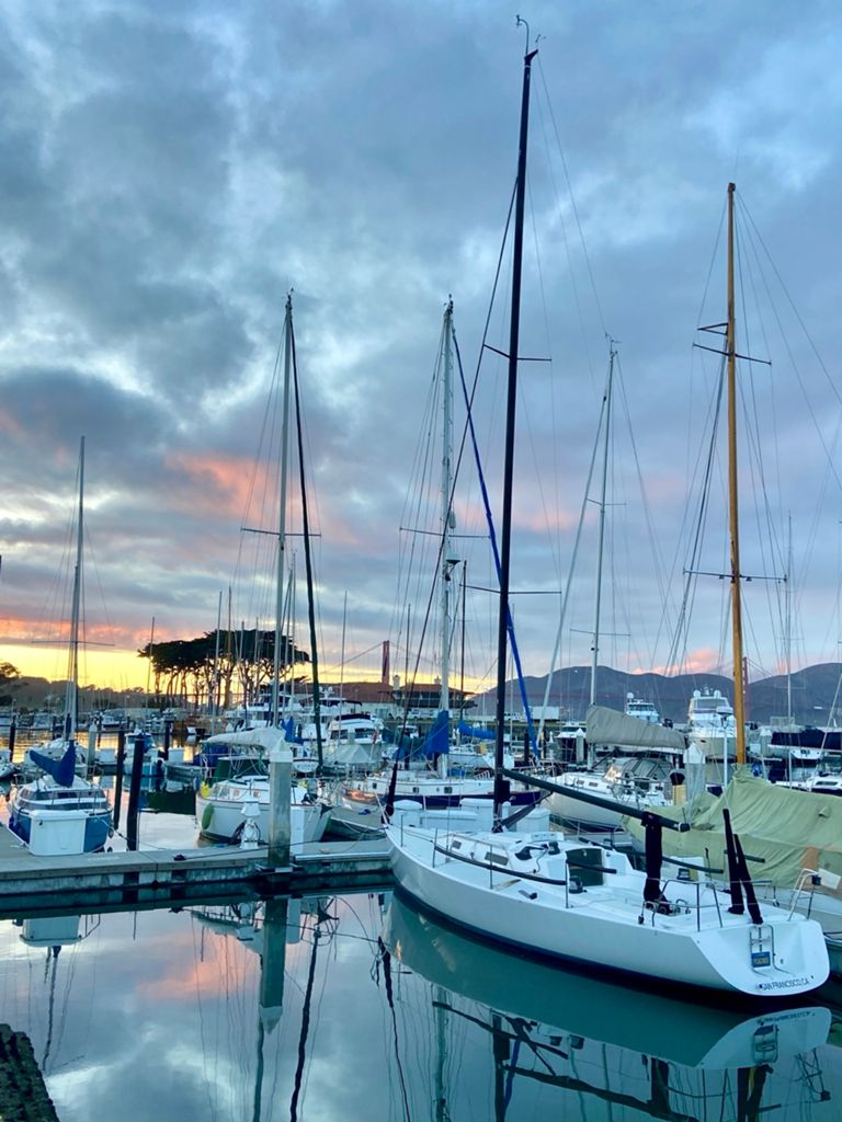 Butterlap (Presidio & Golden Gate Park) photo 43