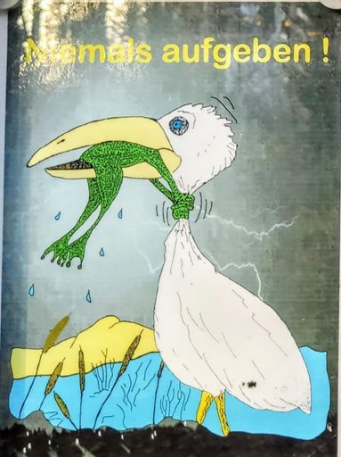 NEVER GIVE UP! 😁😁😁