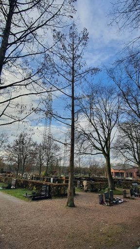 Kleinostheim_ID24194_UM_Friedhofstr._Friedhof