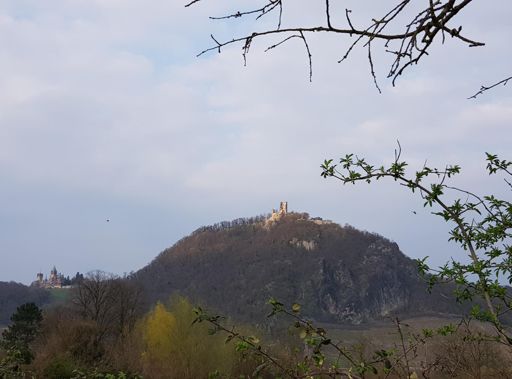 Drachenfels