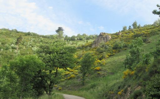 Montée de Burdignes par Toissieu, vive la tranquillité 😆