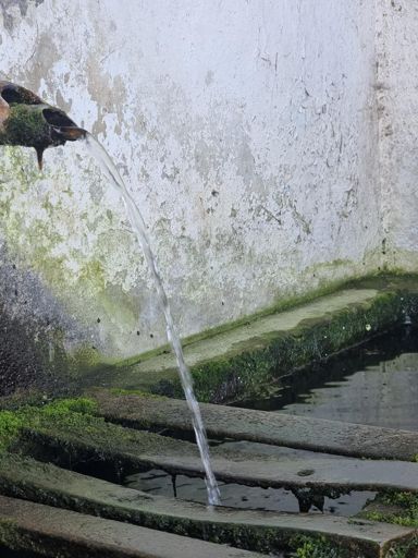 Ce e Sfânt e Sfânt 🤤