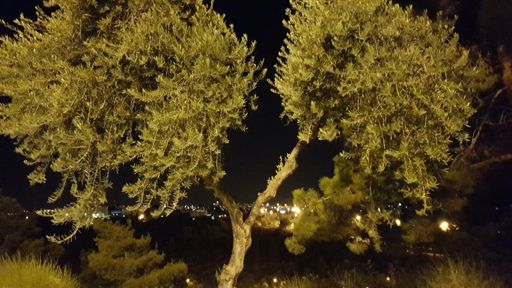 Rechavia looking over the Valley of the Cross