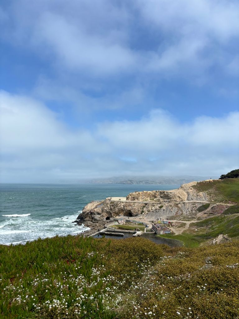 Butterlap (Presidio & Golden Gate Park) photo 122