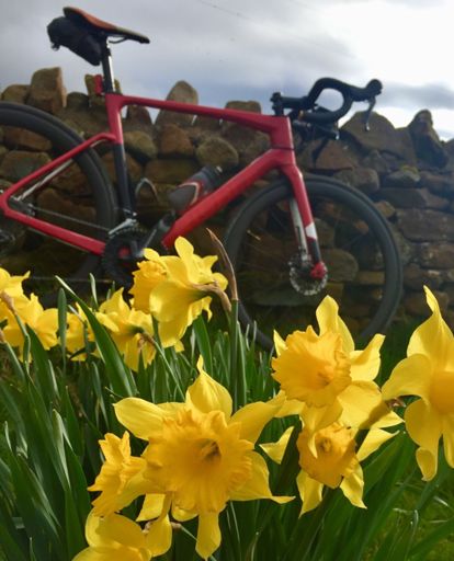 Daffodils, Common House
🕓 16.42
🌡 13°c