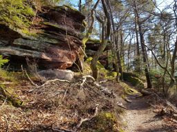 Saverne Ochstenstein