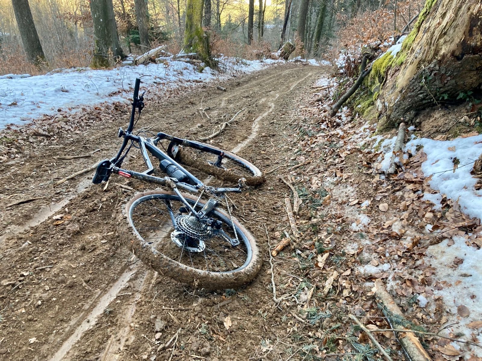 Ride Image 3