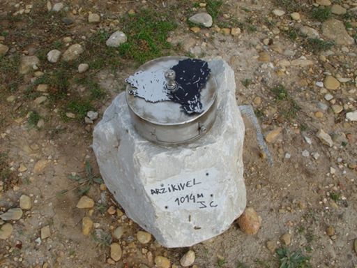 Imagen de Archivo (internet)