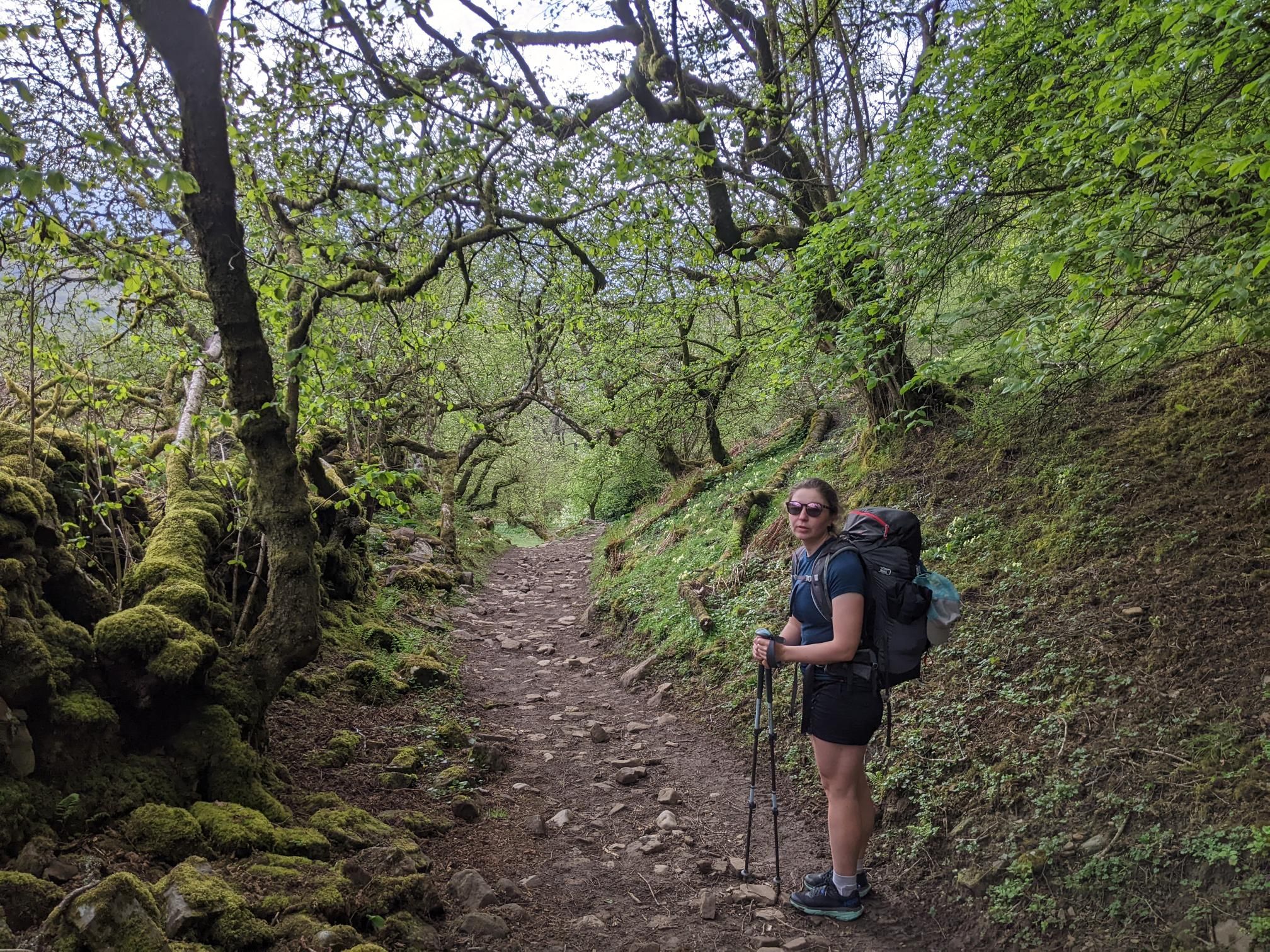 Herriot Way day 3 photo 2