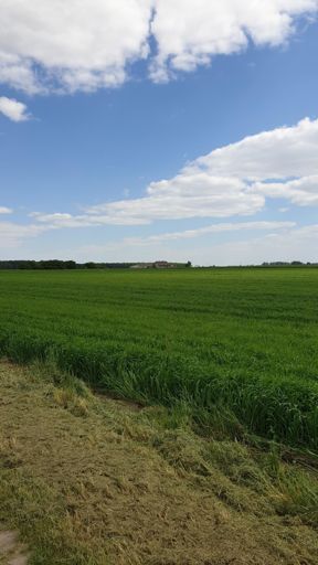 Tam daleko jest jeleń xD