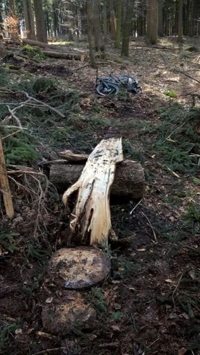 Heute musste mal gebaut werden