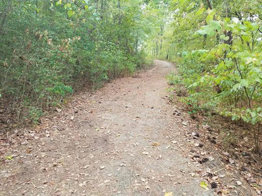 30% max grade pine straw covered, had to turn around and try a second time after spinning out here. Made it except for the gate bypass which is pretty much unrideable now on a road bike.