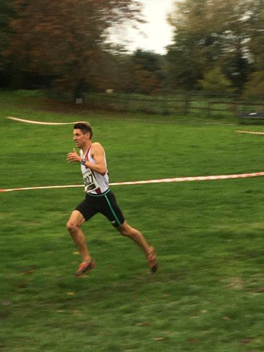 Pic by Neil Hamilton 📸