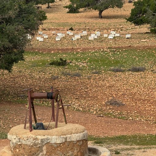 Bee hives which are nice to to
See🐝🙏