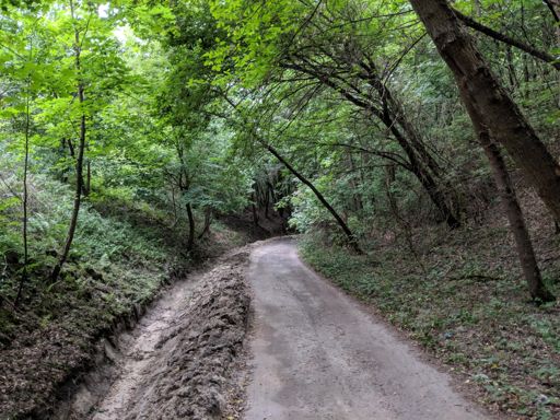 Czarny szlak pieszy w okolicach Chełmna