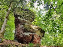 Balade à Pierre Percée VTT+marche