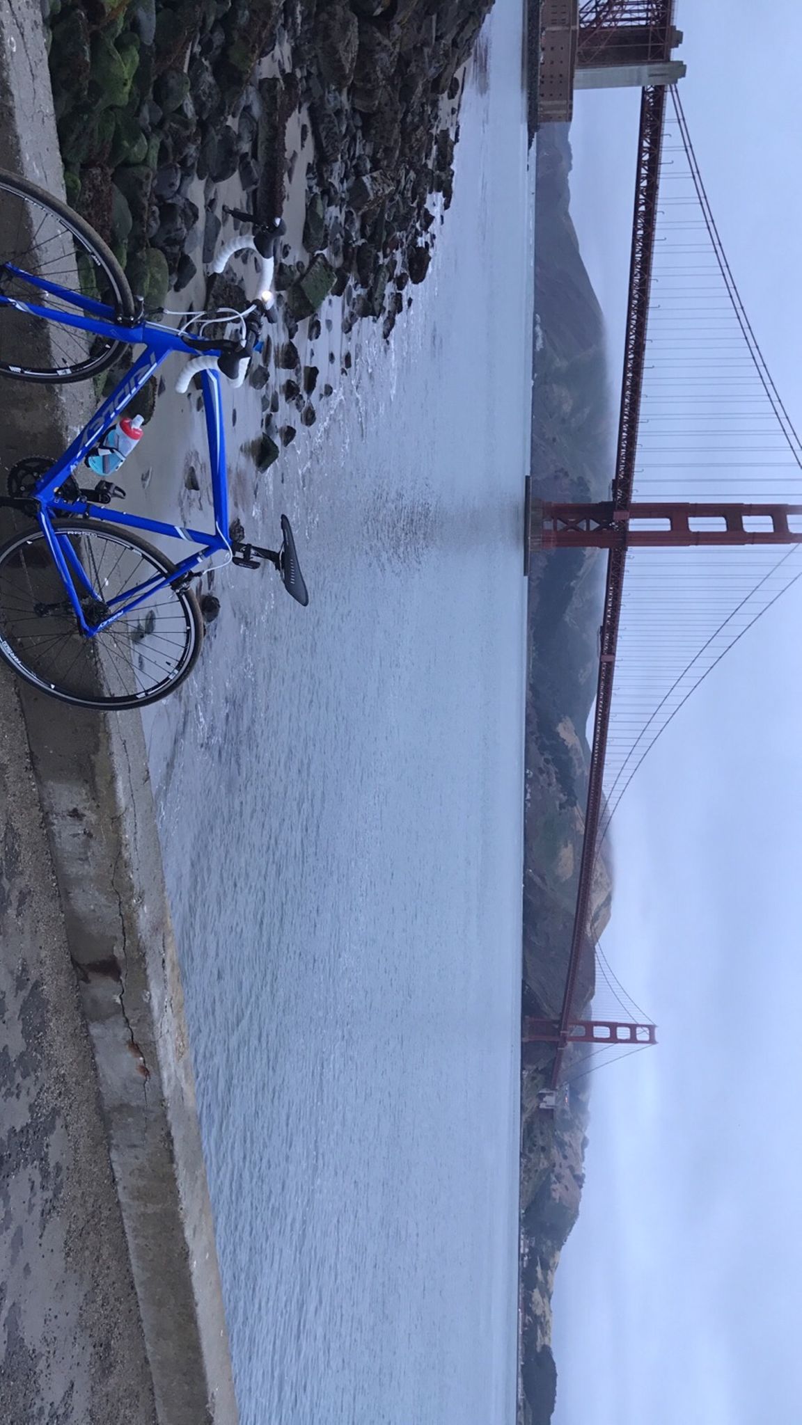 上的个人纪录  2018年3月20日  moffett field trail - squirrel