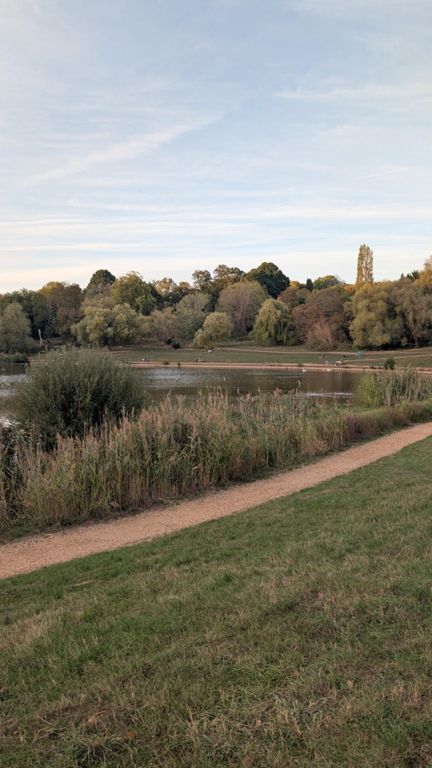 Afternoon Run