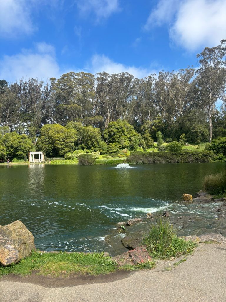 Butterlap (Presidio & Golden Gate Park) photo 91