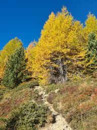 Pointe de Vouasson par le lac bleu et le glacier. Retour par le mont de l’étoile