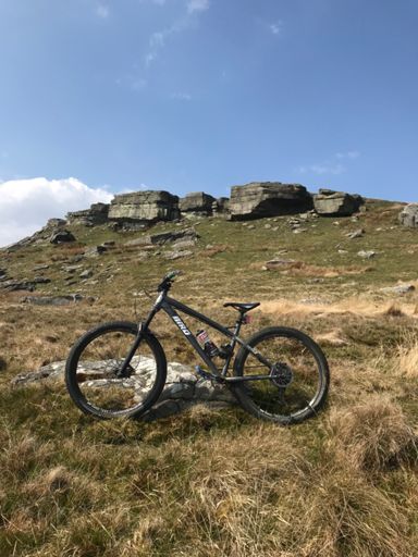 Glorious Goldsborough