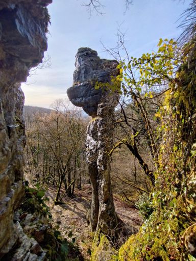 Combe d'Arvaux, dite Combe aux Mammouths