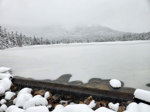Lonesome lake skimmed over