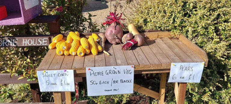 Biggest beetroot I 've seen - about 0.8 mile before the small fenland village of  Holbeach Hurn. https://en.wikipedia.org/wiki/Holbeach_Hurn