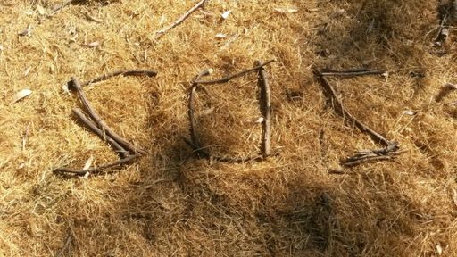 When no planes passed overhead I decided to cross the creek and hike up until I got to rideable terrain.