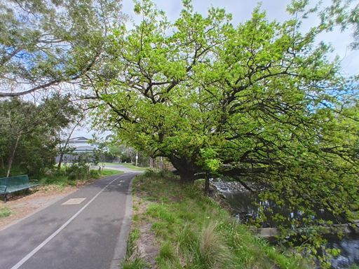 Greener then Green IRL!