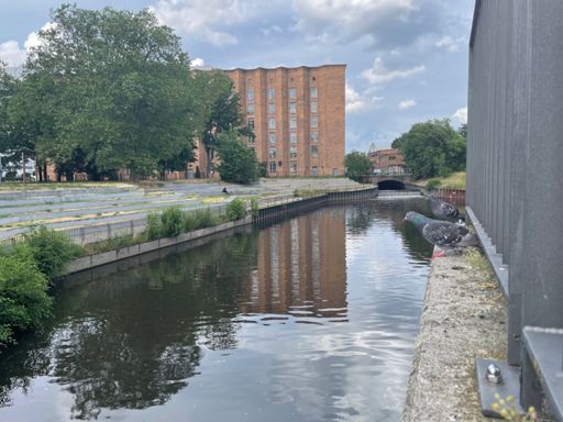 End of the Panke, Start of the Run