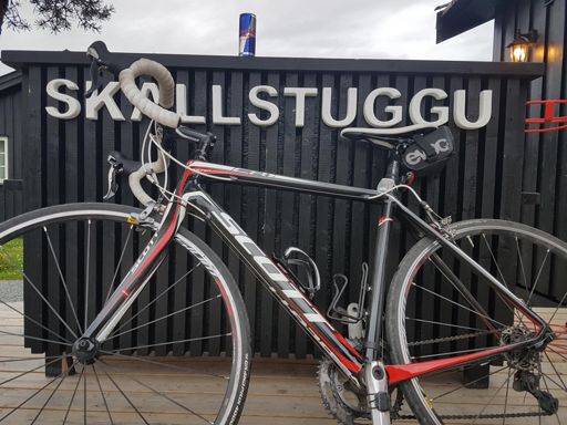 glede sæ på red bull