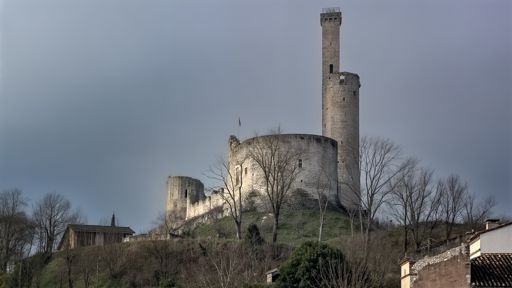 êtes vous déjà monté sur la tour (40 m de haut) avant sa fermeture en 2009?