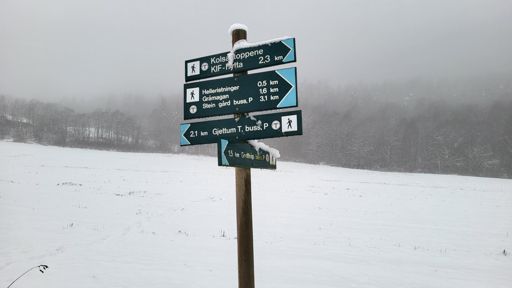 Sti kryss nordvest for Dælivann