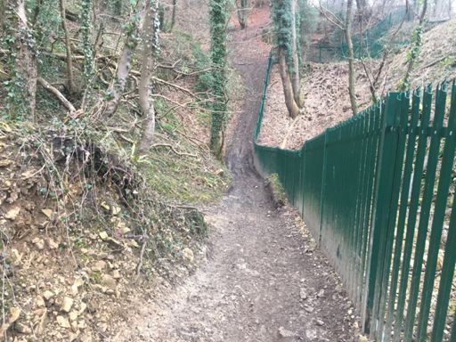 Nice tree i fancied crashing into :-)