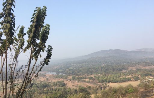 Those hills are just magic