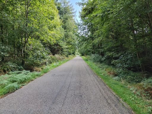 Hoch zum alten Schloss