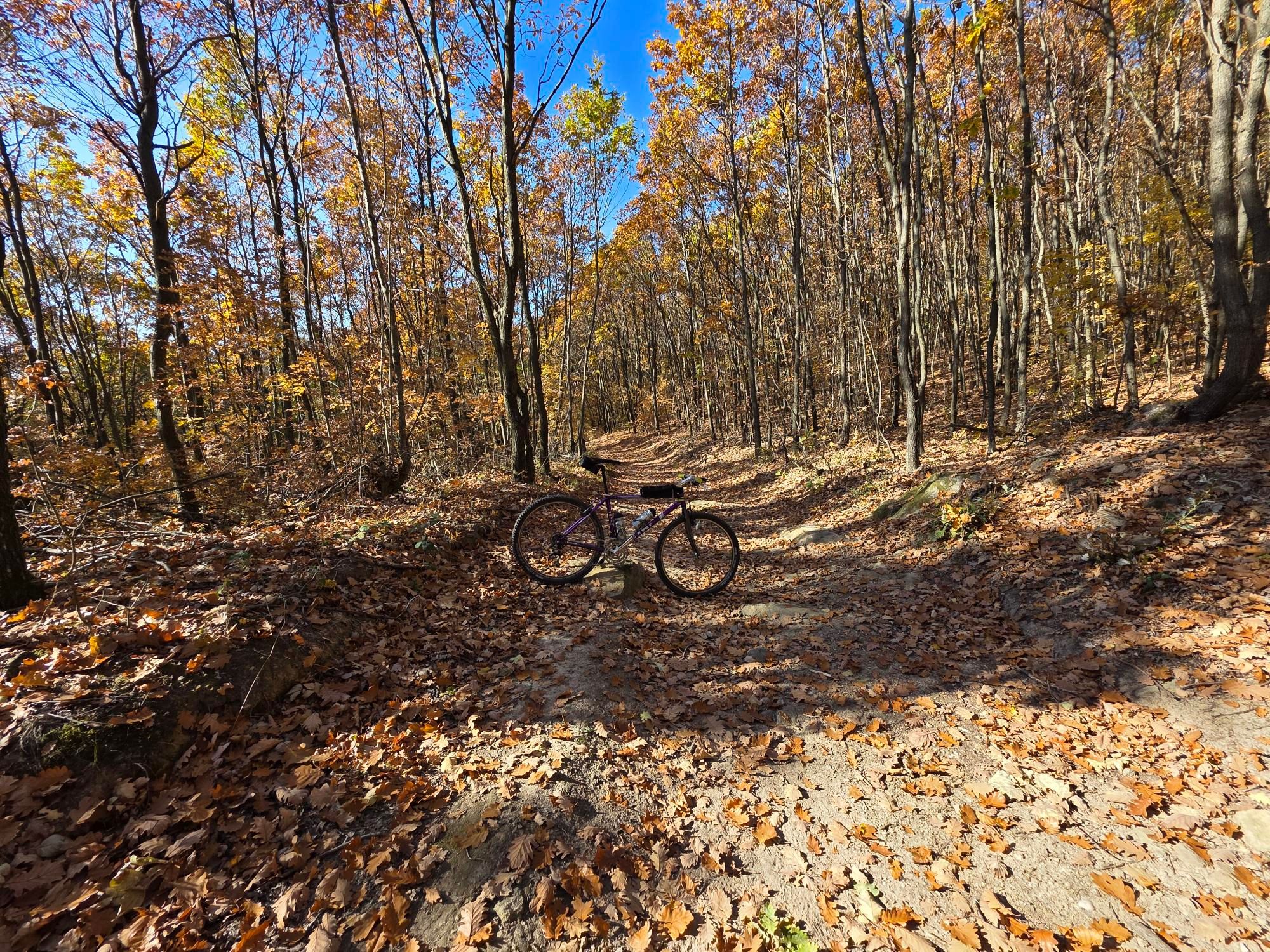 LBKltyFXDLiyLM0flQxzzSNVPnhLvS_v-G6p2pFa