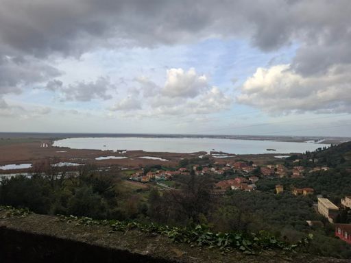 la calma del Lago di Massaciuccoli 
