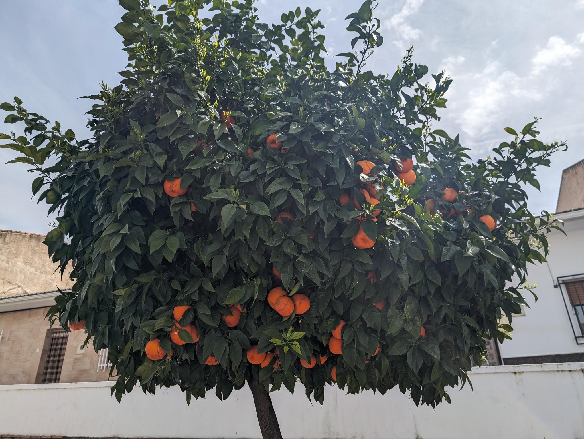 Andalusia Bike packing - Day 4 photo 11